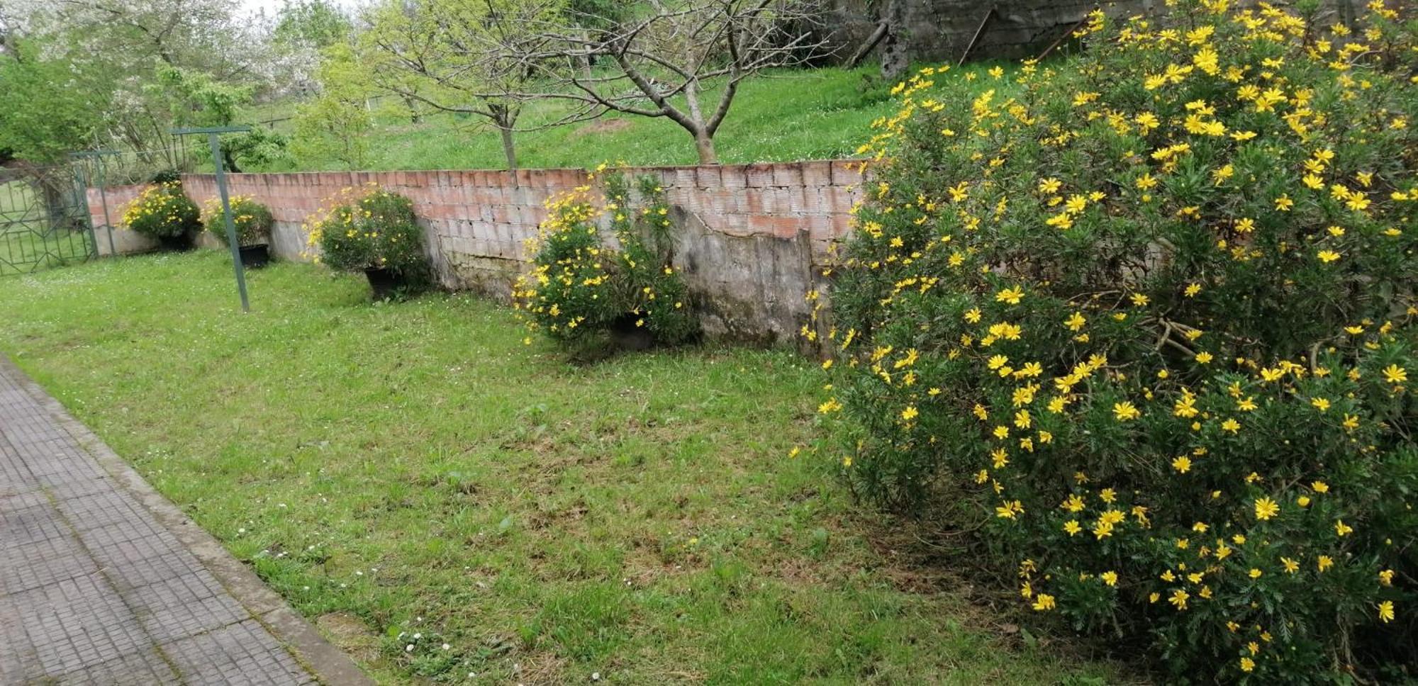 Fondu La Llosa - Casita Cerca De Gijon - Vv-662-As Villaviciosa  Buitenkant foto